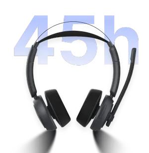 Life Battery 45h