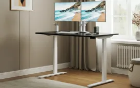 Best adjustable desk with monitor mount options