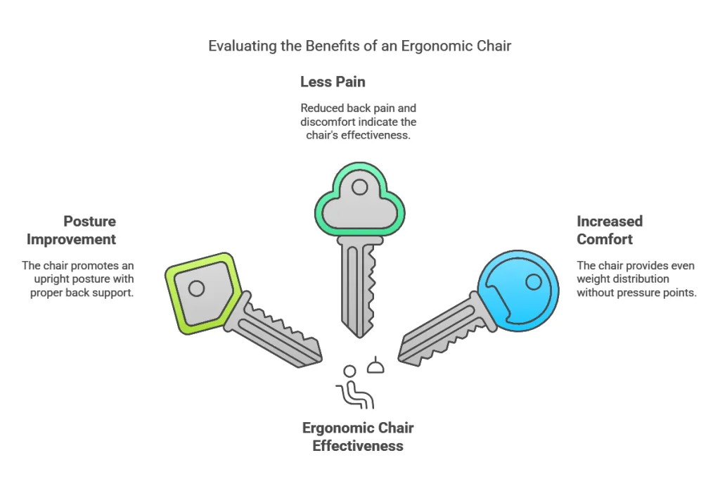 Evaluating the Benefits of an Ergonomic Chair.png
