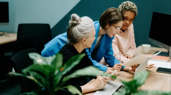 Office Plants That Boost Productivity