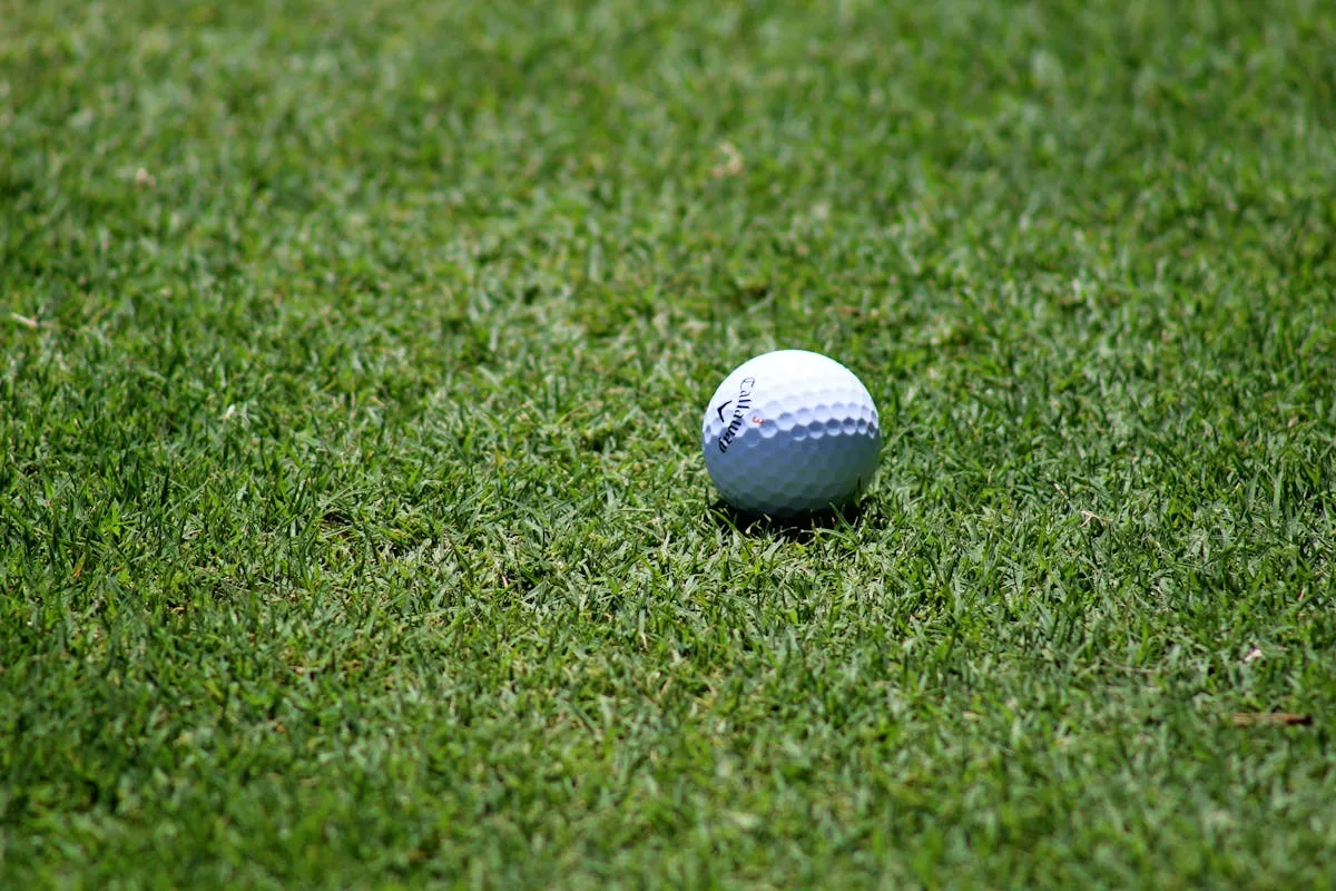 The golf ball is on the grass.jpeg