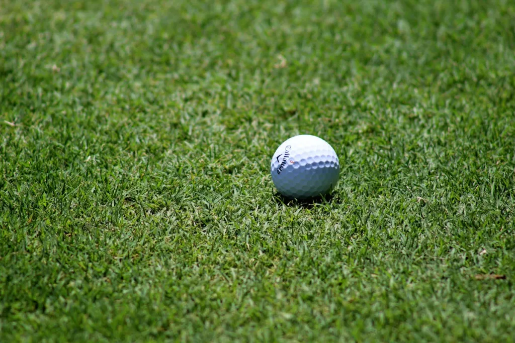 The golf ball is on the grass.jpeg