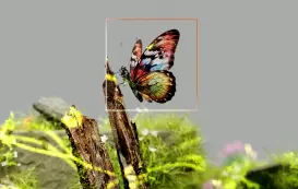 Top 7 Free AI Image Generator Open Source in 2025