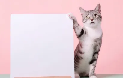 かっこいいホワイトボードの横に、可愛い灰白の猫がいる