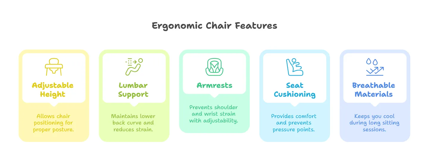 What Makes the Best Inexpensive Ergonomic Office Chairs_ - visual selection.png
