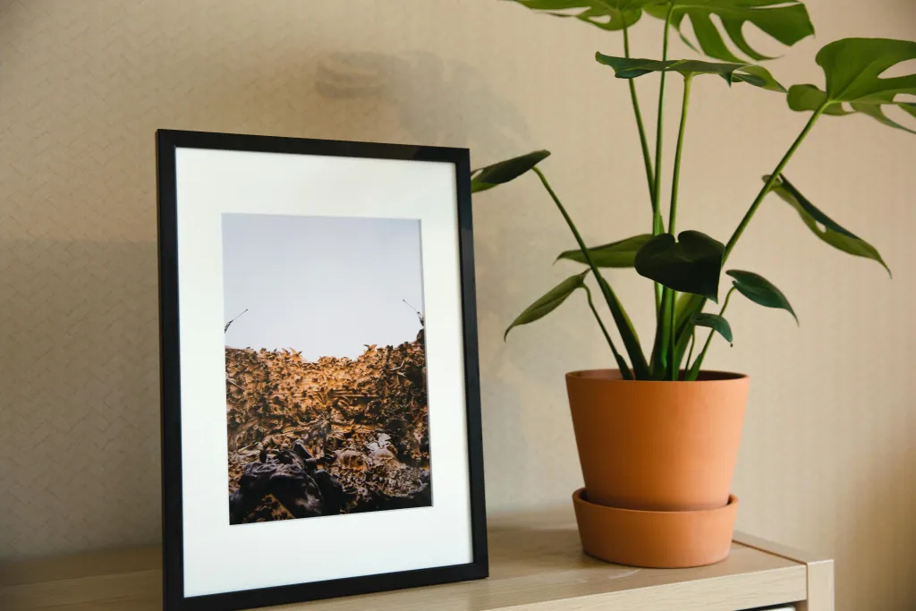 best art frame