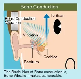 bone-conduction.webp