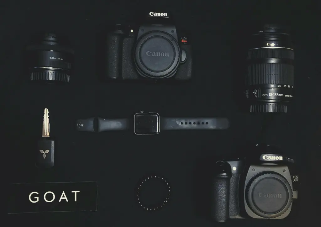 cannon camera and canon lens