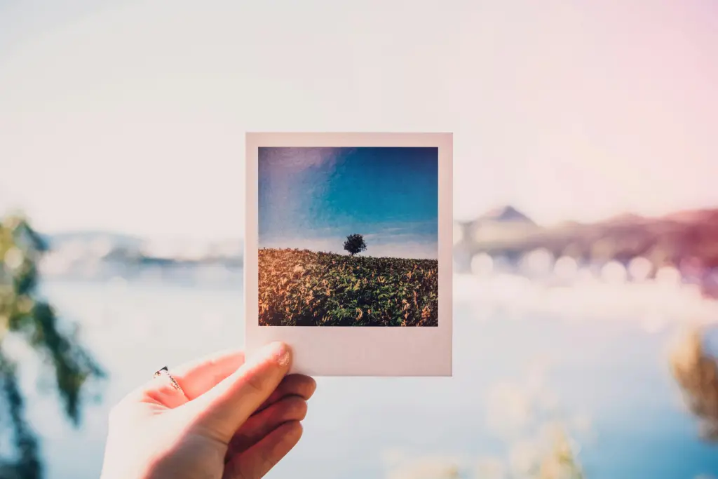 cool photo frame ideas 1