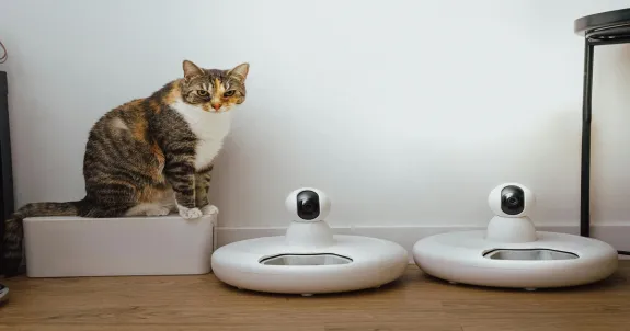 Die anwendung von kamera video hd im taeglichen leben