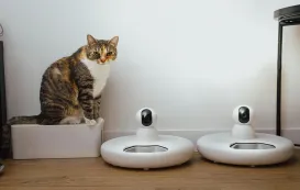 Die anwendung von kamera video hd im taeglichen leben