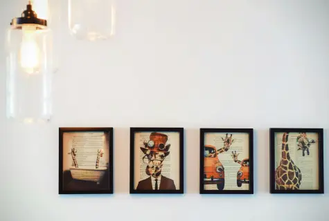 different kinds of photo frames