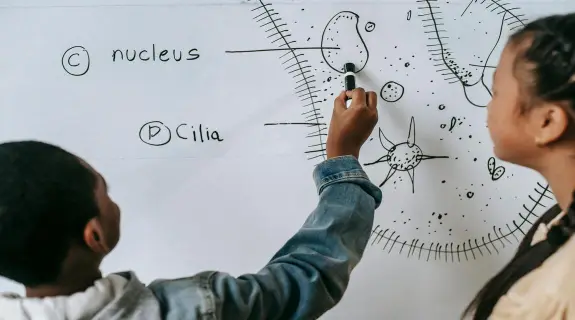 Step-by-step example of an easy whiteboard drawing for kids