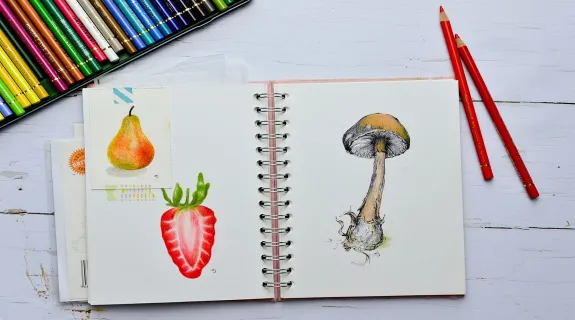 create easy white board drawing