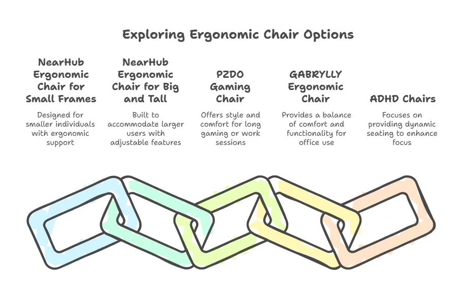 exploring-ergonomic-chair-options.png