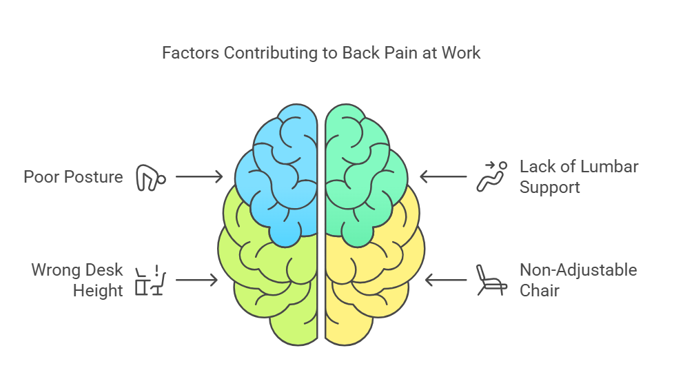 factors-contributing-to-back-pain-at-work.png