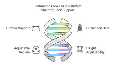 Features to look for in a budget chair for back support