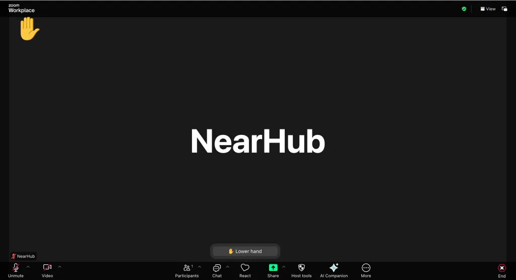 Tutorial on How to Lower Hand in Zoom Meetings