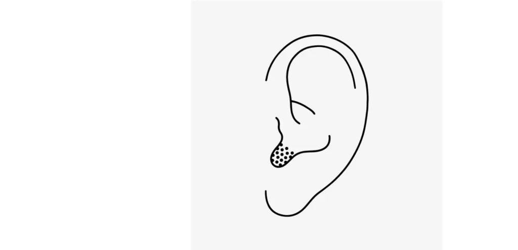 in-ear.webp