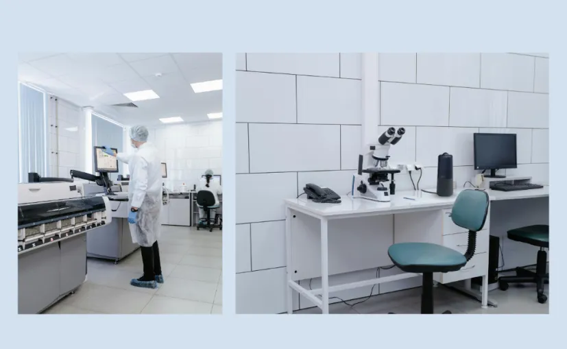 lab