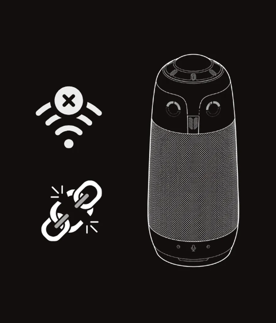 This meeting camera disconnects randomly and has to be restarted