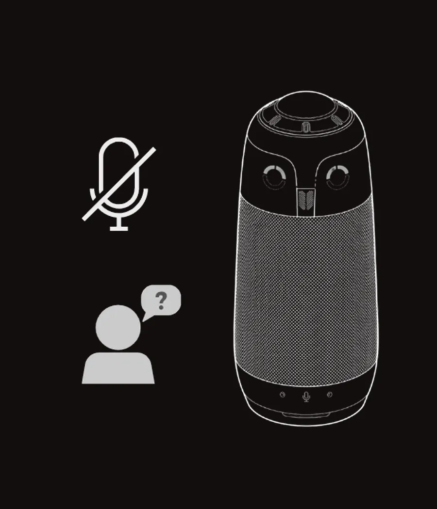 Leaders complain about how they looked and sounded in meetings