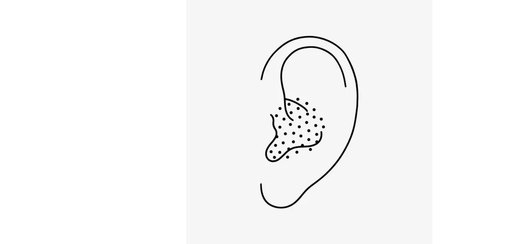 on-ear.webp