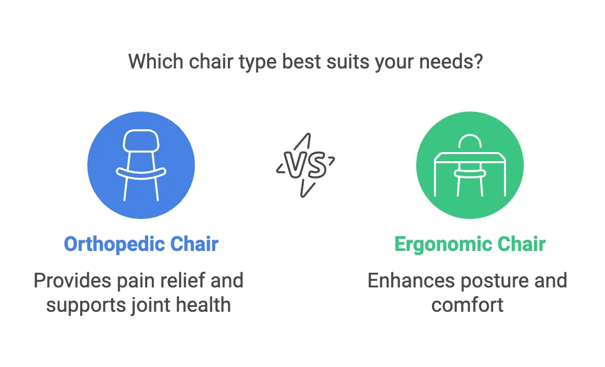 Which chair type best suits your needs