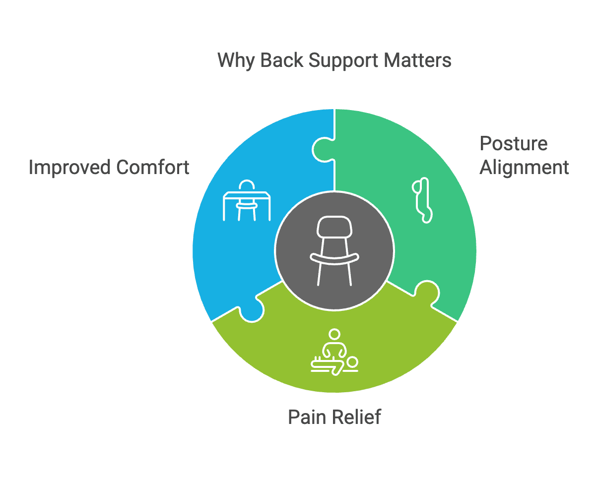 Why back support matters of ergonomic chairs