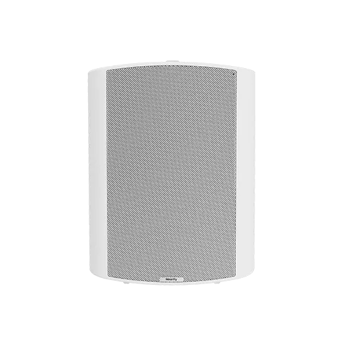 Nearity ASP110 Loudspeaker