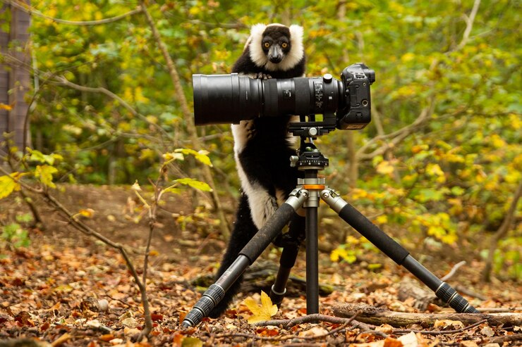 Camera mic 7.png
