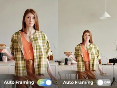 Auto Faming