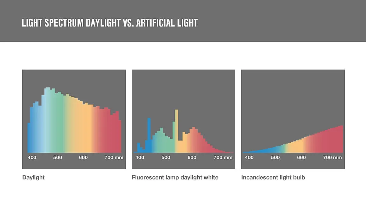 artificial light daylight spectrum.webp