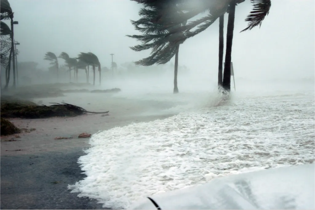 how to use hurricane cam effectively.png