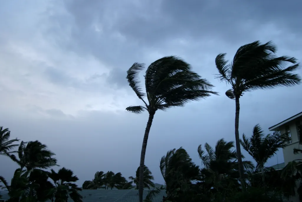 hurricane cam.png