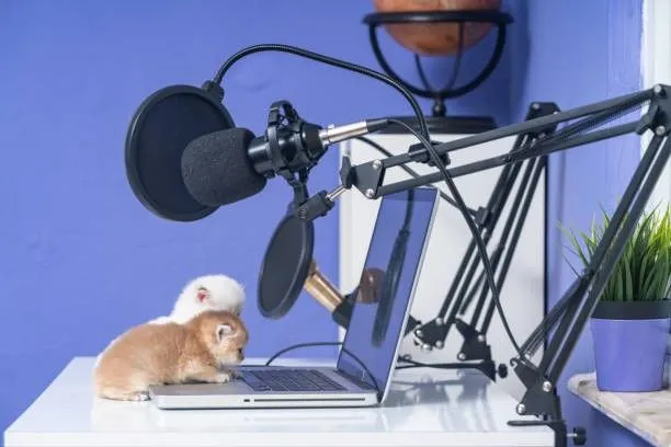 podcast studio