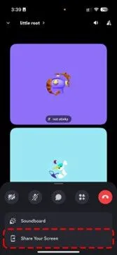 stream on discord