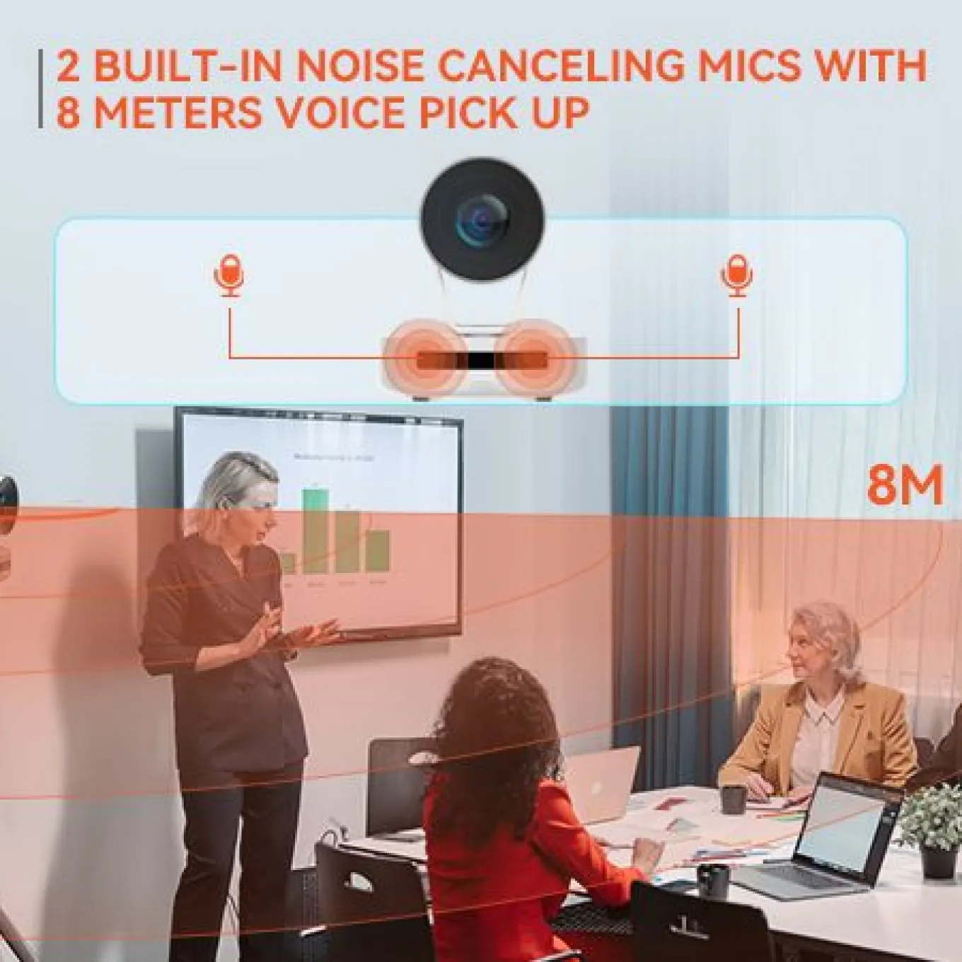 2 noise cancelling mics