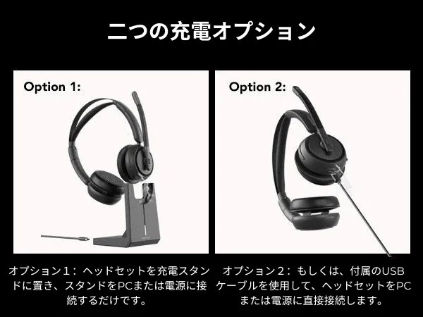 2つの充電オプション