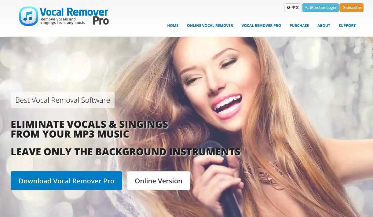 vocal remover