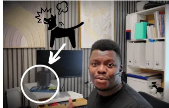 best-working-from-home-headset-barking-test.PNG