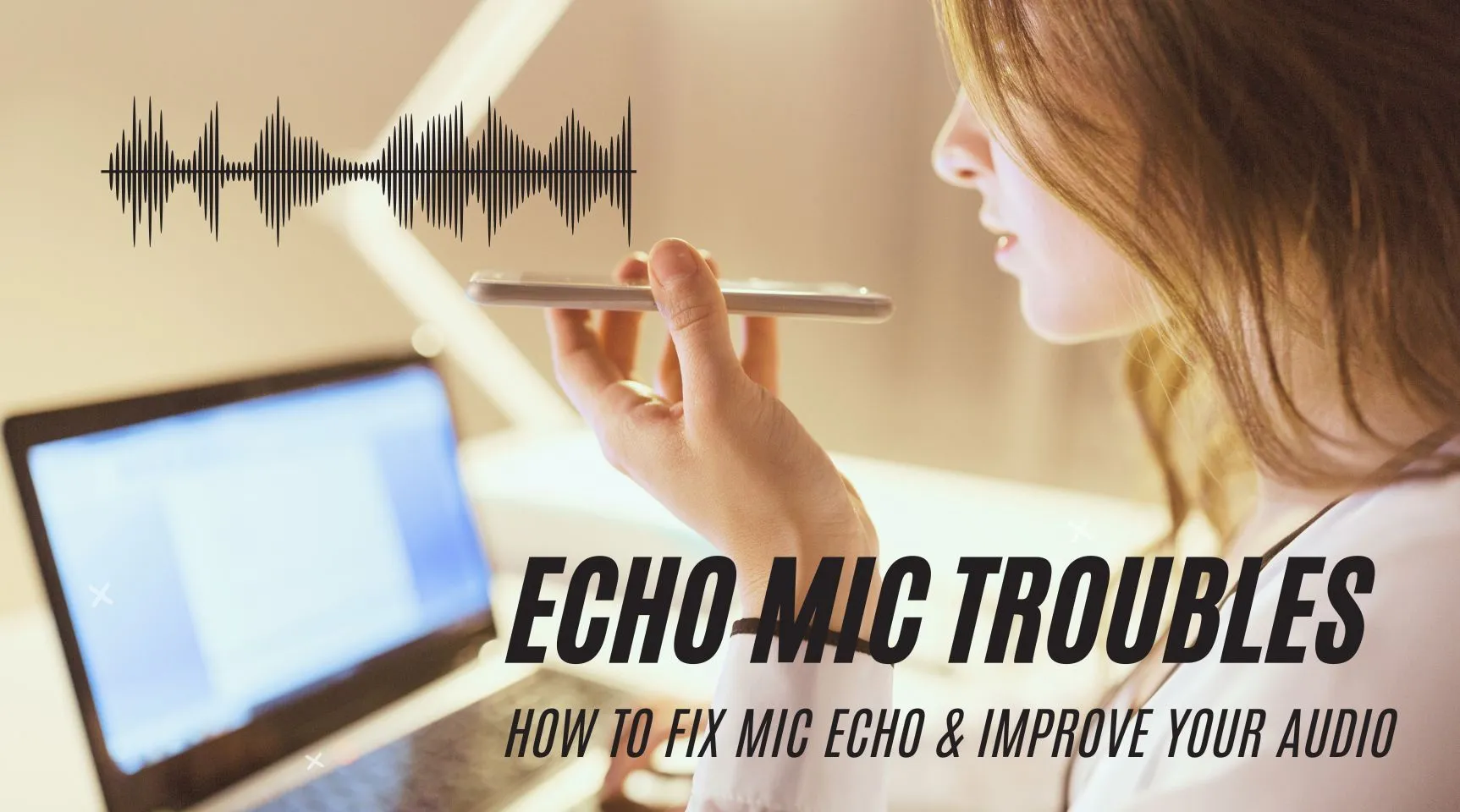mic-echo-banner.jpg