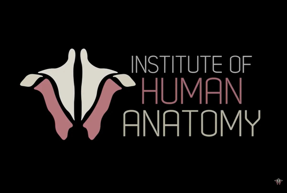 Enhancing Education and Collaboration: How the Institute of Human Anatomy Utilizes the NearHub S75