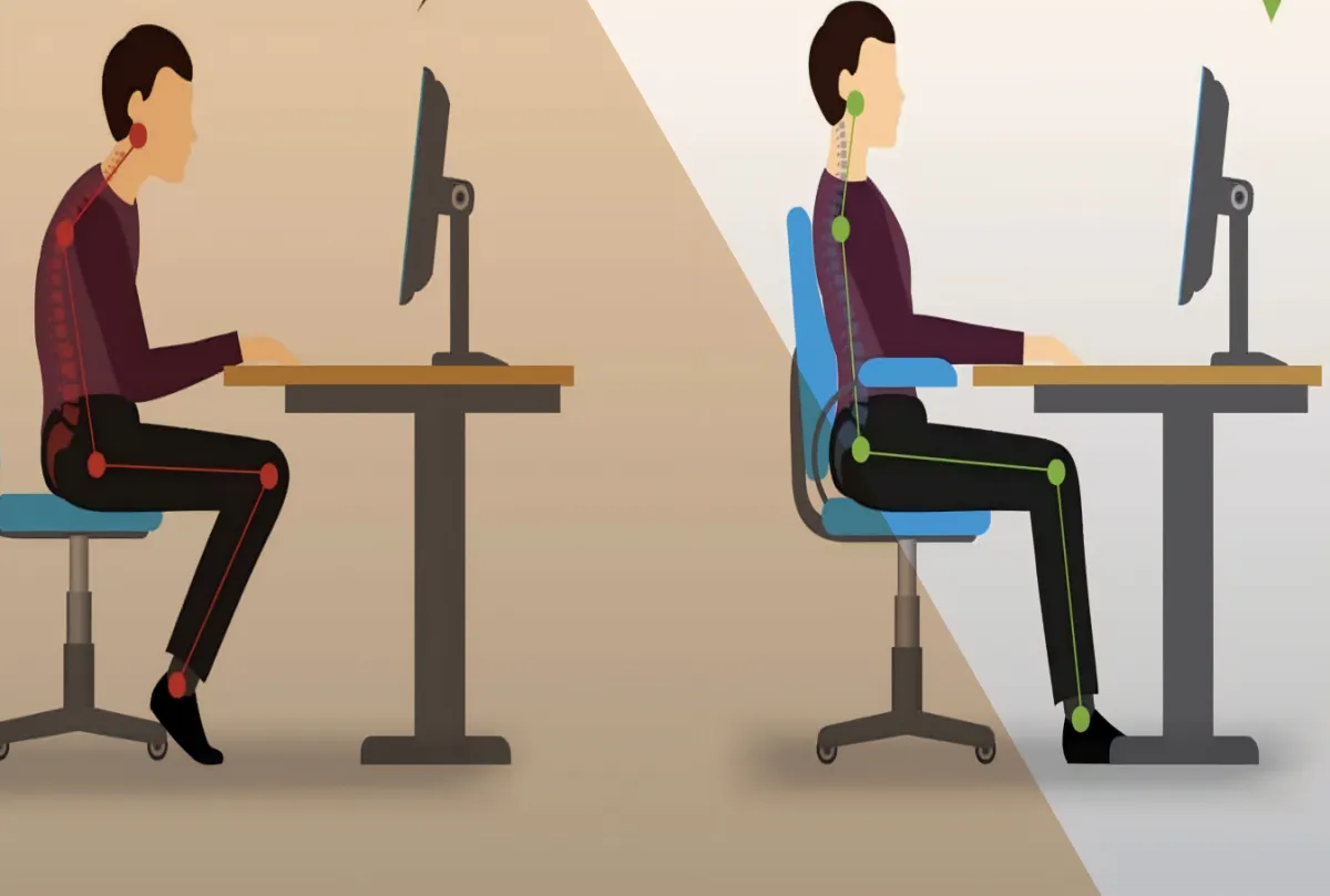 The 20 Best Ergonomic Office-Chairs for Long Hours: Find Your Perfect Seat